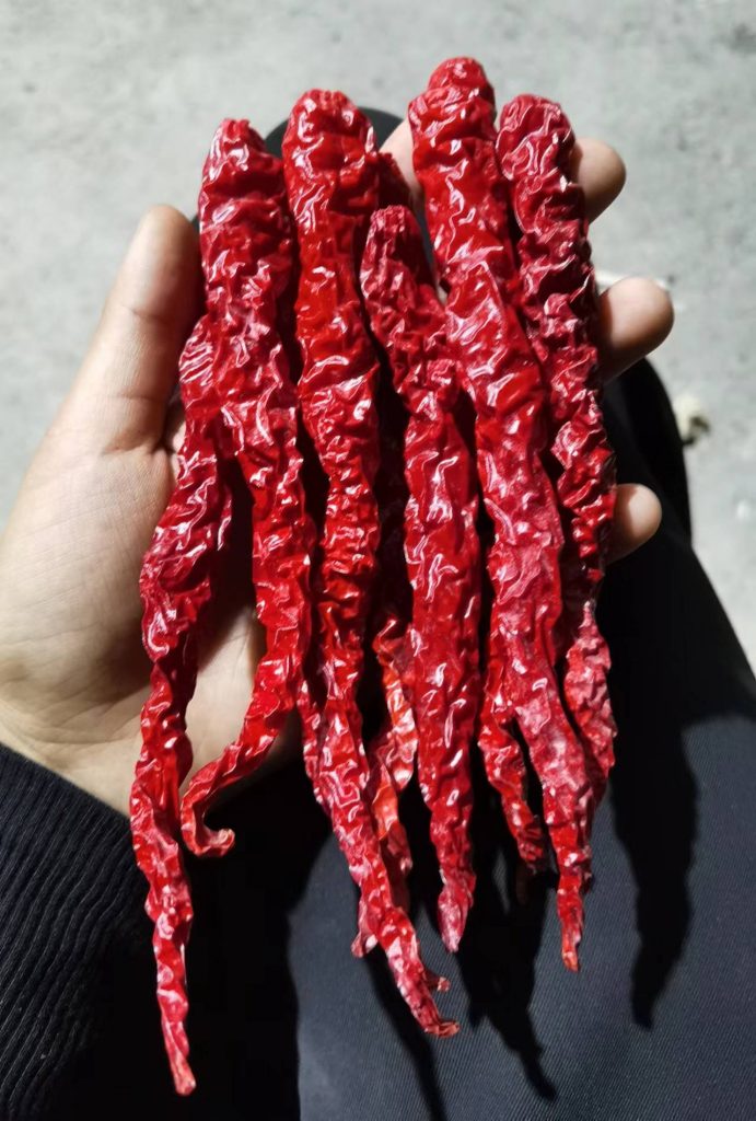新疆邹椒