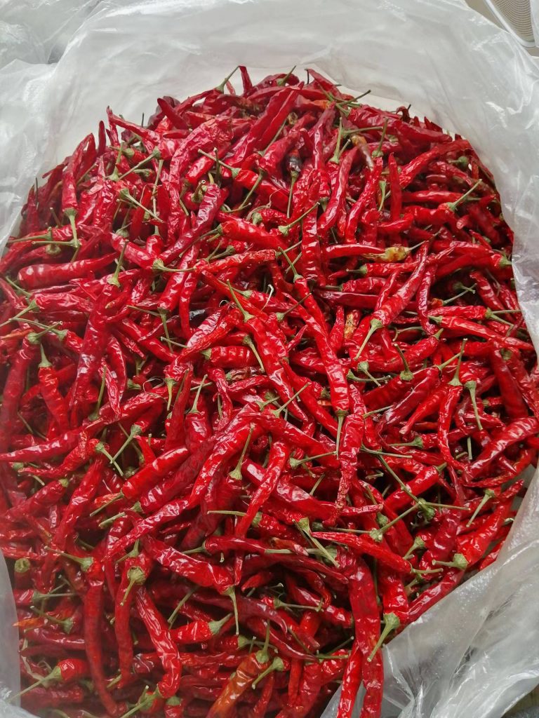 贵州艳椒