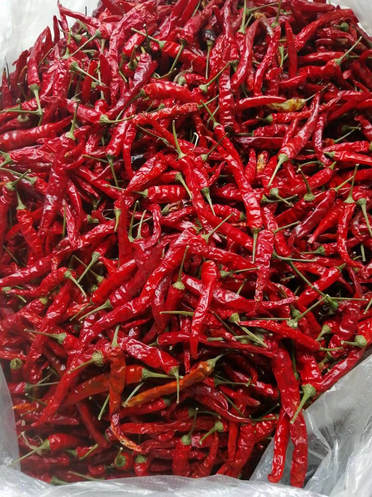 贵州艳椒